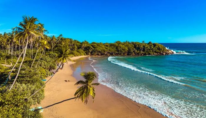 Costa Rica  Jungle Meets Beach, Meets Adventure