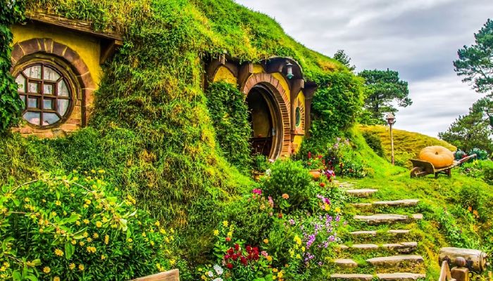 New Zealand  Lord of the Rings Was Just the Beginning